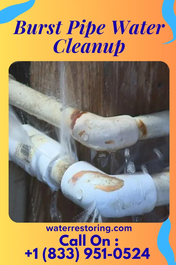 Burst Pipe Water Cleanup in Warren, IN
