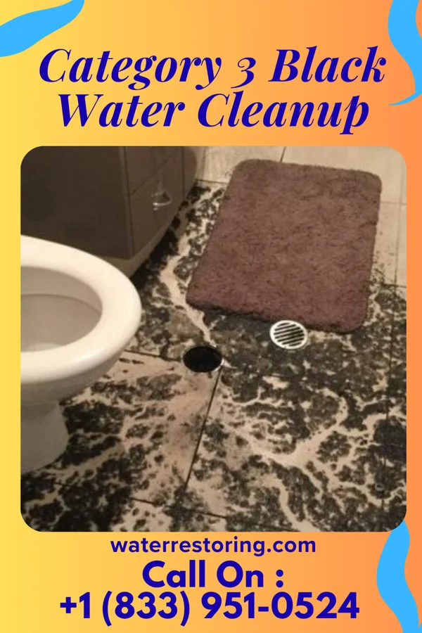Category 3 Black Water Cleanup in Warren, IN