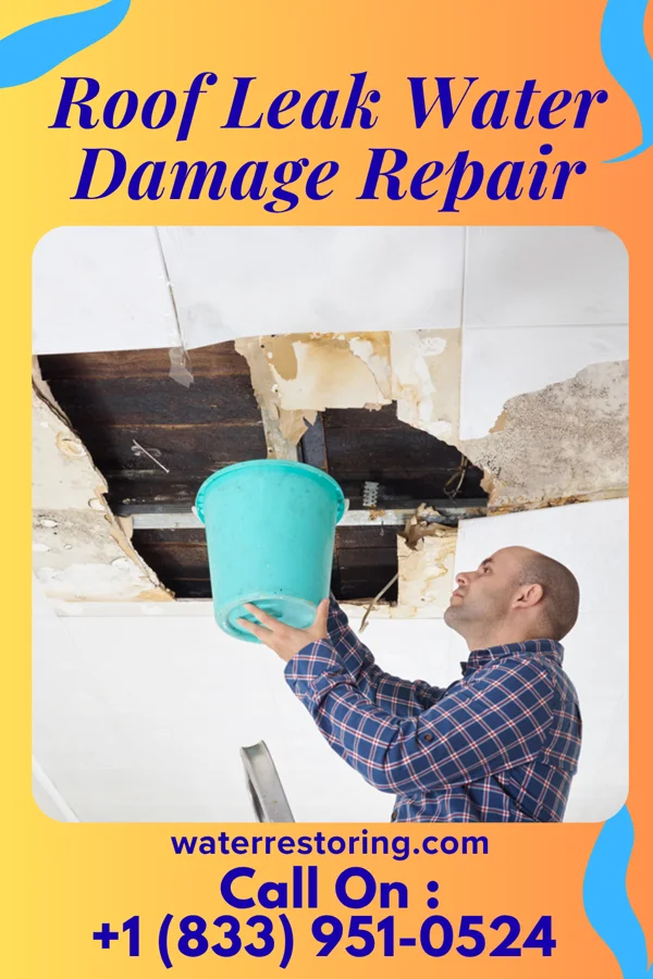 Roof Leak Water Damage Repair in Warren, IN