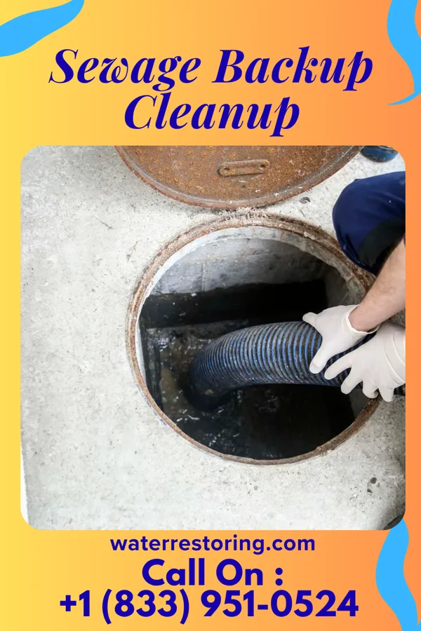 Sewage Backup Cleanup in Warren, IN